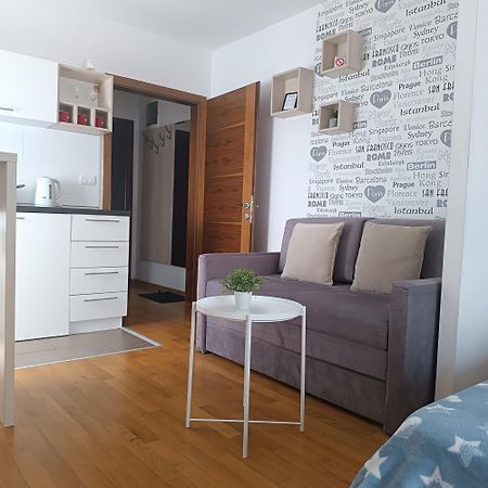 Apartments Karamarkovic Vrnjačka Banja 客房 照片