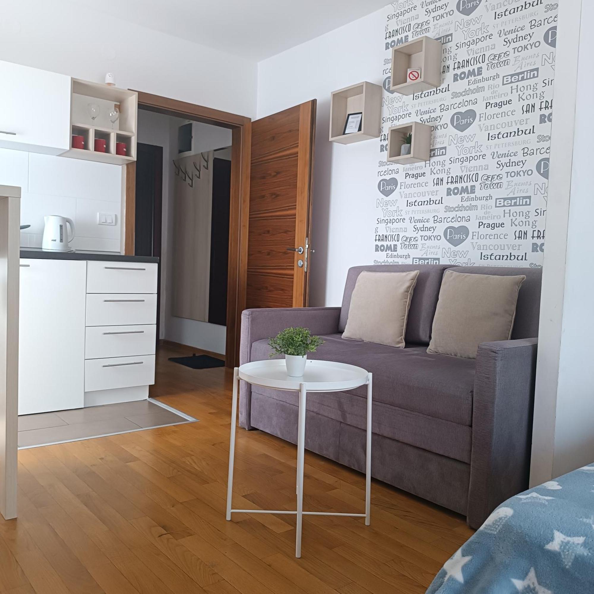 Apartments Karamarkovic Vrnjačka Banja 客房 照片